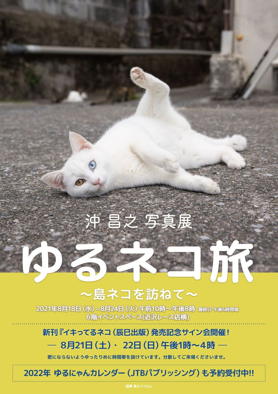 ８月18日より京王百貨店新宿店6階イベントスペース にてゆるネコ旅 島ネコを訪ねて 写真展します 猫写真家 沖 昌之のブログ 野良ねこちゃんねる
