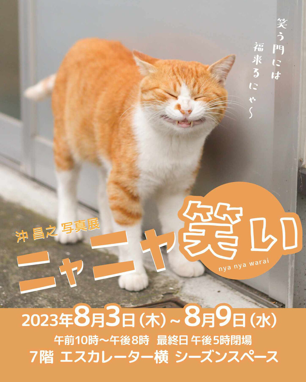 開催中】～8月9日（水）沖昌之 写真展 ニャニャ笑い ～笑う門には福