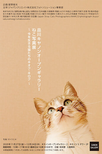 canonnekopostcard
