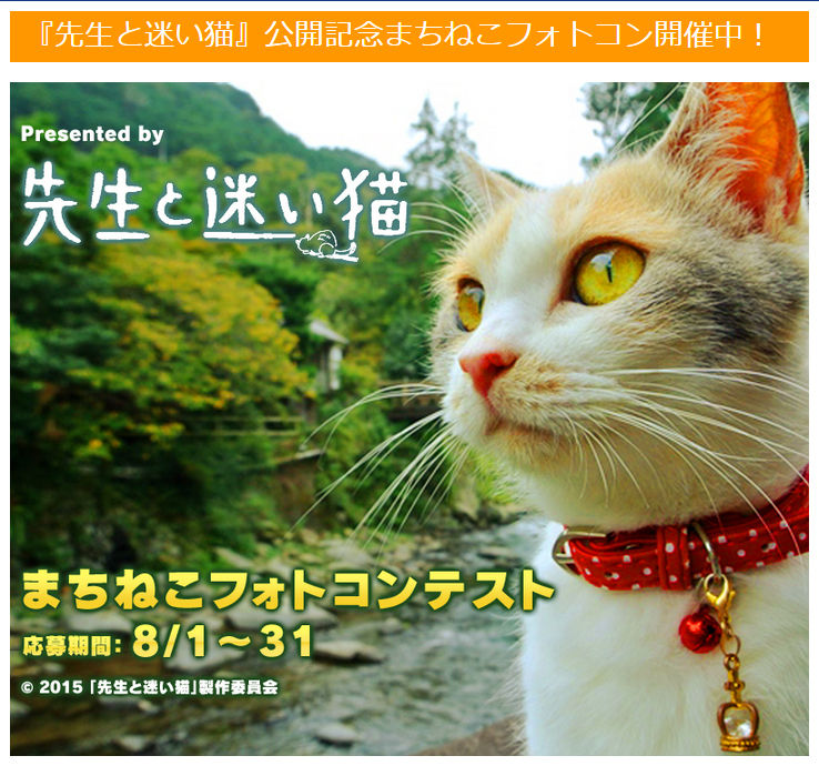 映画 先生と迷い猫 公開記念 まちねこフォトコンテスト開催中です 猫写真家 沖 昌之のブログ 野良ねこちゃんねる 映画 先生と迷い猫 公開記念 まちねこフォトコンテスト開催中です 猫写真家 沖 昌之のブログ 野良ねこちゃんねる
