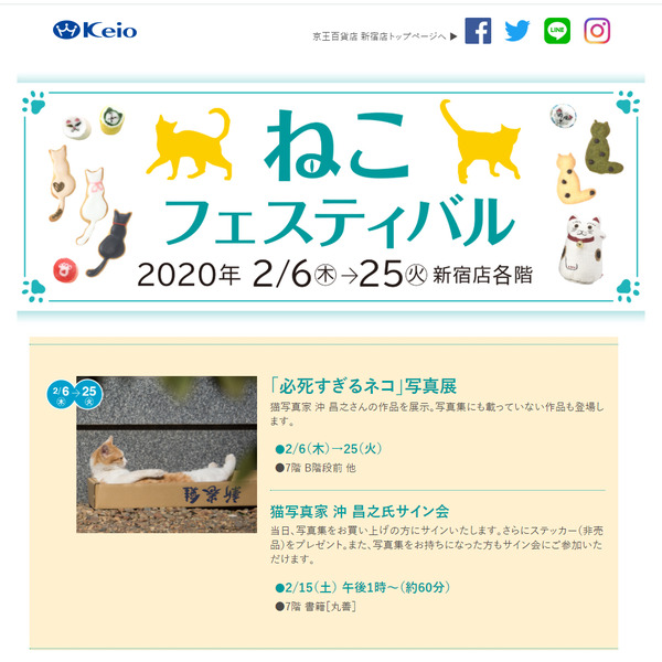 NEKOKO