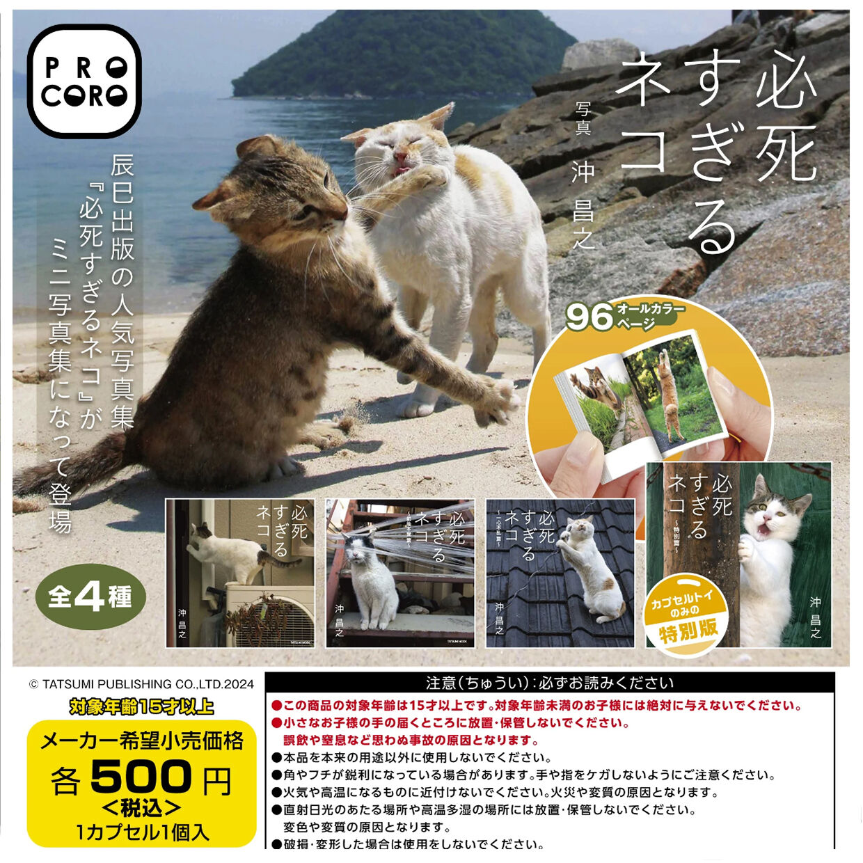シリーズ累計8万部を記録した猫写真集「必死すぎるネコ」が豆本になり