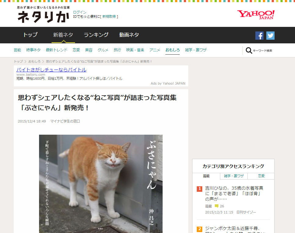 ネタりかさんでご紹介いただきました 猫写真家 沖 昌之のブログ 野良ねこちゃんねる ネタりかさんでご紹介いただきました 猫写真家 沖 昌之のブログ 野良ねこちゃんねる