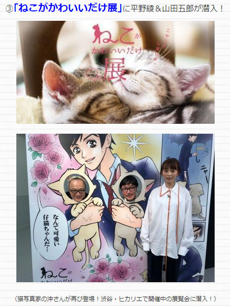 金曜 土曜にかけての深夜に放送の 日本テレビ 東京暇人に 改めて出演します 猫写真家 沖 昌之のブログ 野良ねこちゃんねる