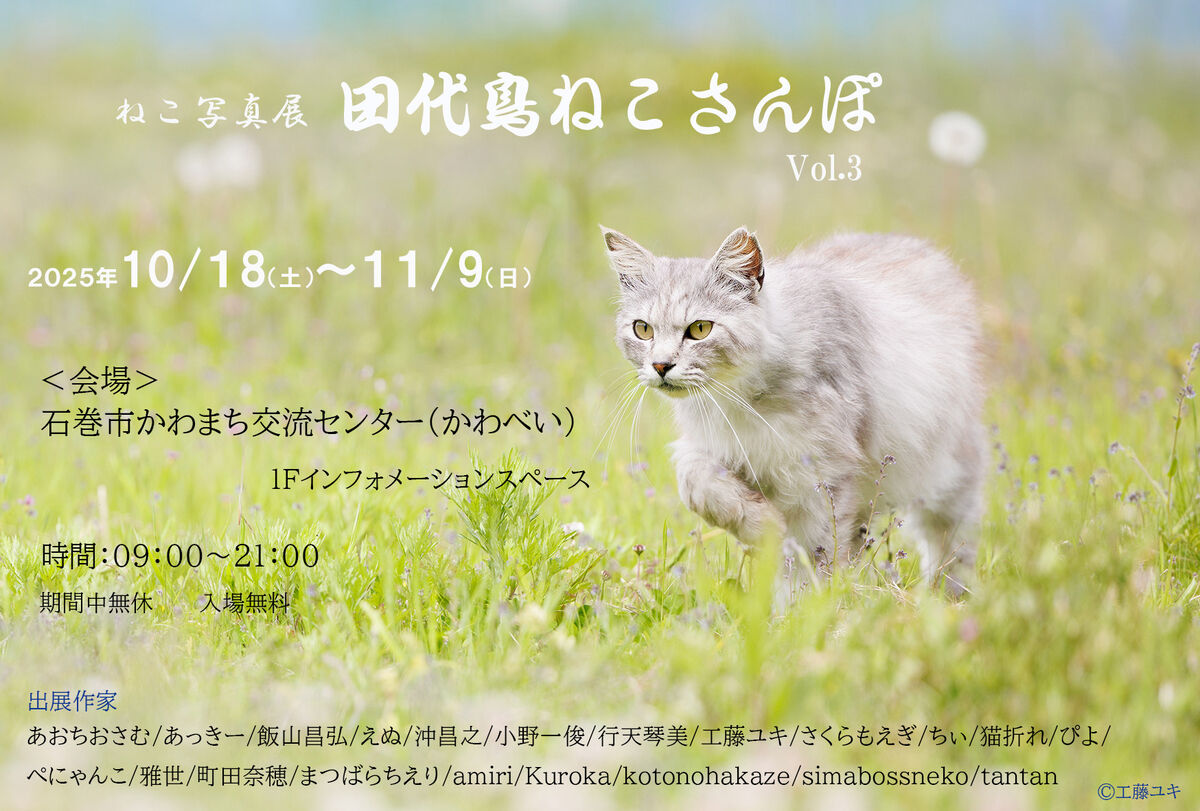 10月18日～ 宮城県石巻 合同写真展】ねこ写真展 田代島ねこさんぽVol.3 : 猫写真家・沖 昌之のブログ 野良ねこちゃんねる。