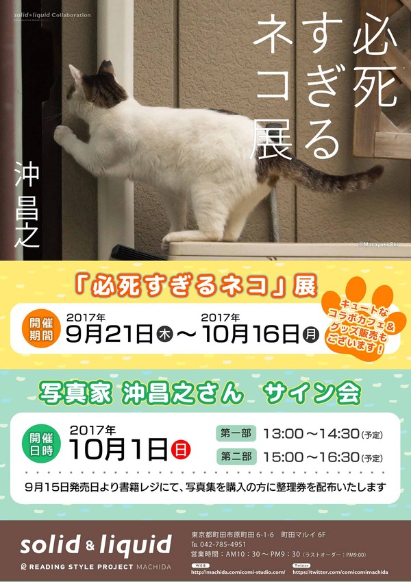 必死すぎるネコ展告知ポスター