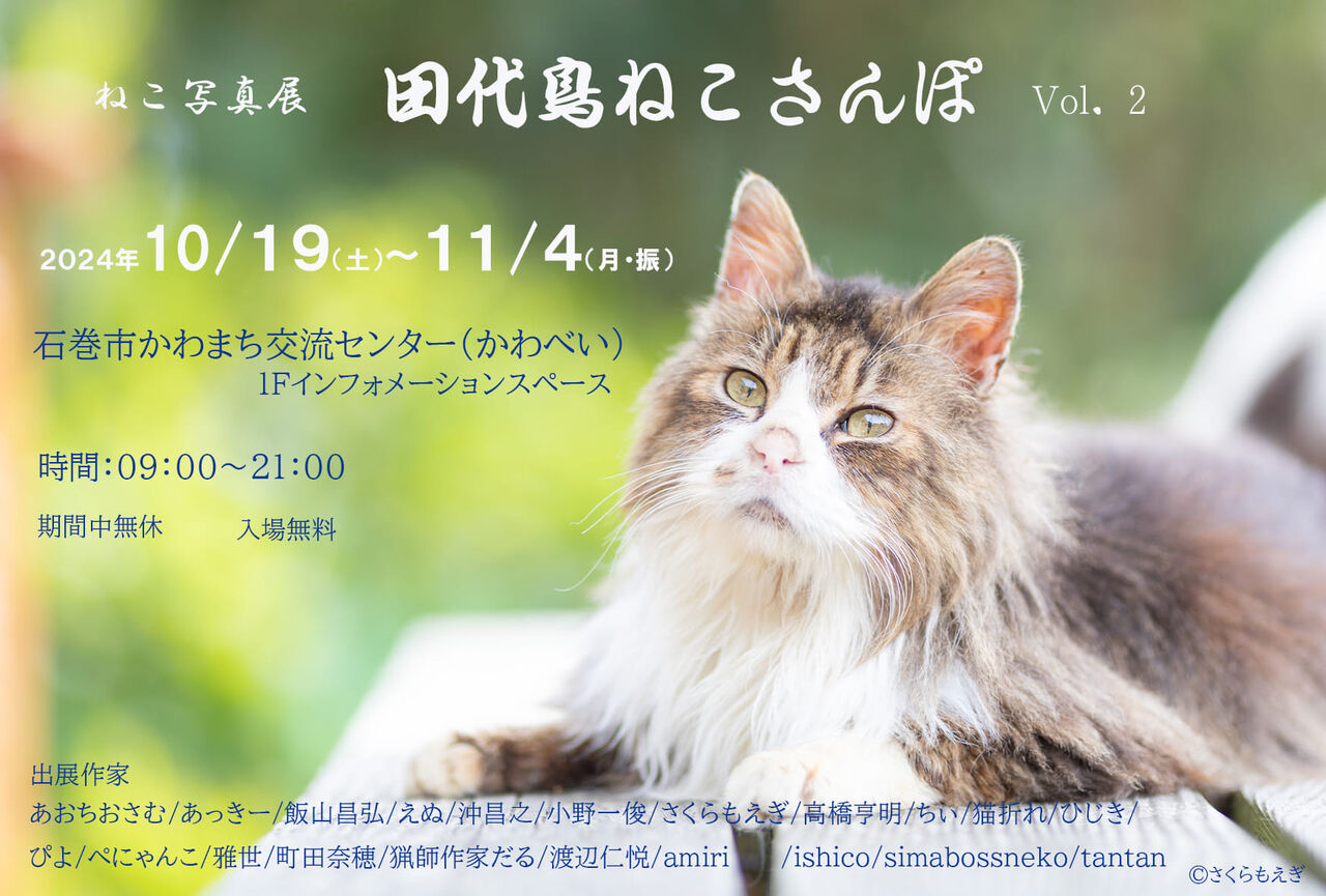 10月19日～ 宮城県石巻 合同写真展】ねこ写真展 田代島ねこさんぽVol.2 : 猫写真家・沖 昌之のブログ 野良ねこちゃんねる。