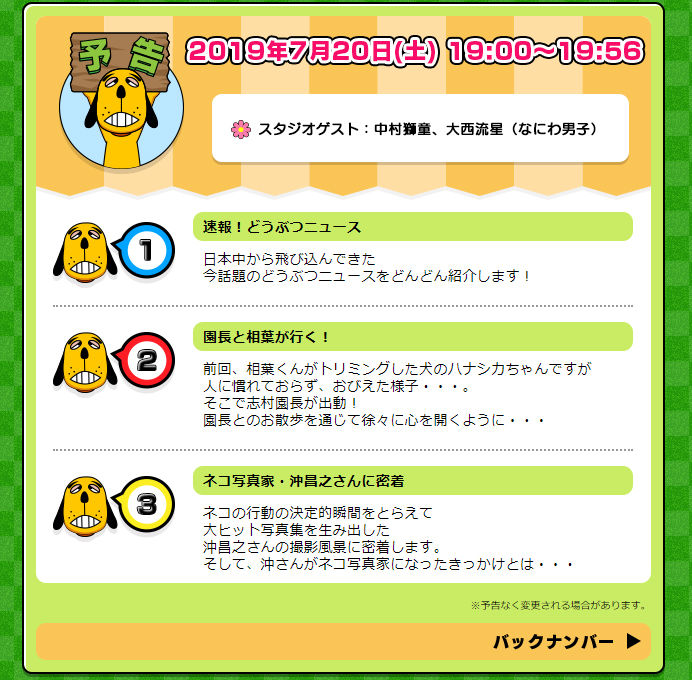 本日 7月日 土 19時より放送の 天才 志村どうぶつ園に出演します 猫写真家 沖 昌之のブログ 野良ねこちゃんねる