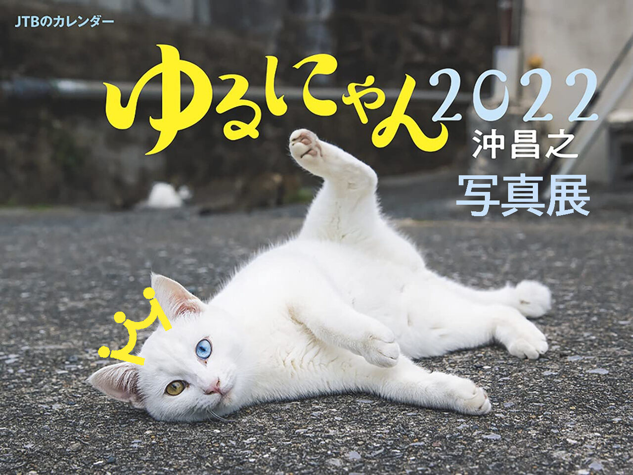 明日より京王百貨店新宿店6階イベントスペース にてゆるネコ旅 島ネコを訪ねて 写真展します 猫写真家 沖 昌之のブログ 野良ねこちゃんねる 明日より京王百貨店新宿店6階イベントスペース にてゆるネコ旅 島ネコを訪ねて 写真展します 猫写真家 沖 昌之のブログ 野良ねこちゃんねる