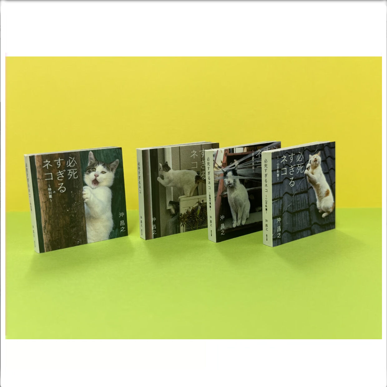 シリーズ累計8万部を記録した猫写真集「必死すぎるネコ」が豆本になり