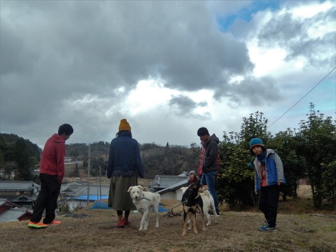 DSCN6197