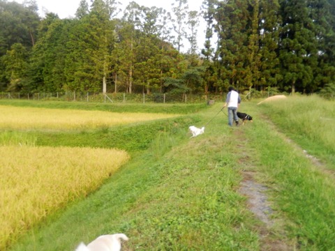 DSCN5873