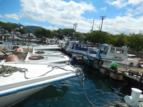DSCN5720