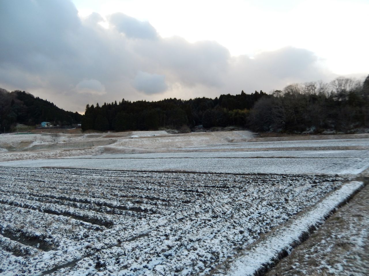冬季湛水 のらちん工房 冬季湛水 のらちん工房