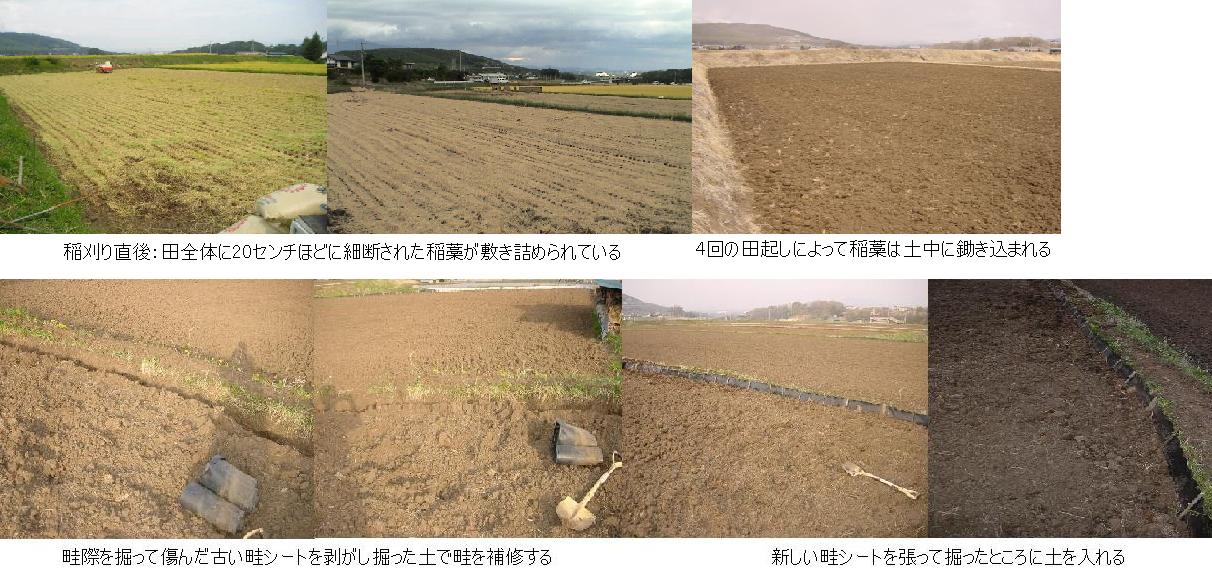 本田作業:田起し・畦直し : 百姓の田舎暮らし