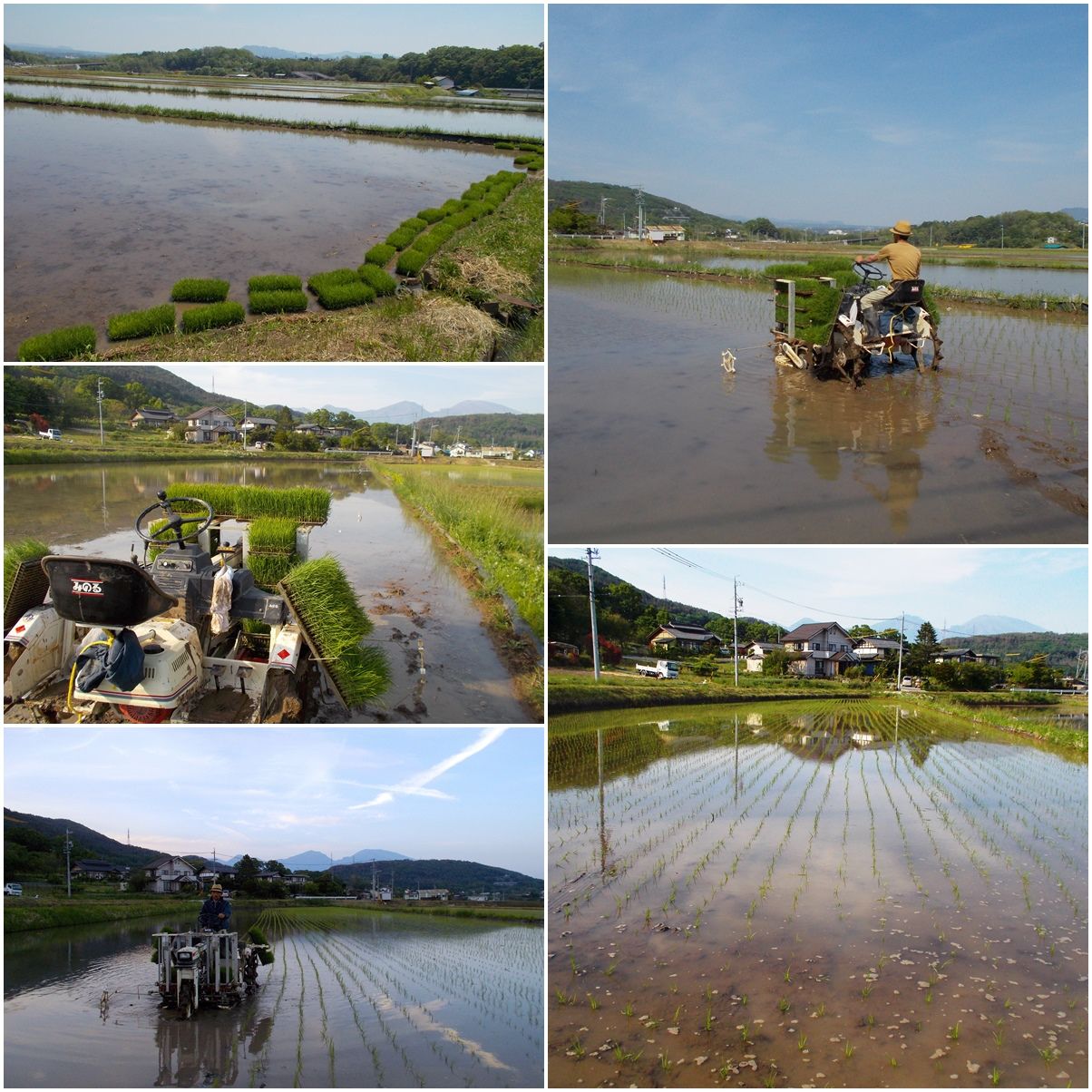 田植日和 : 百姓の田舎暮らし