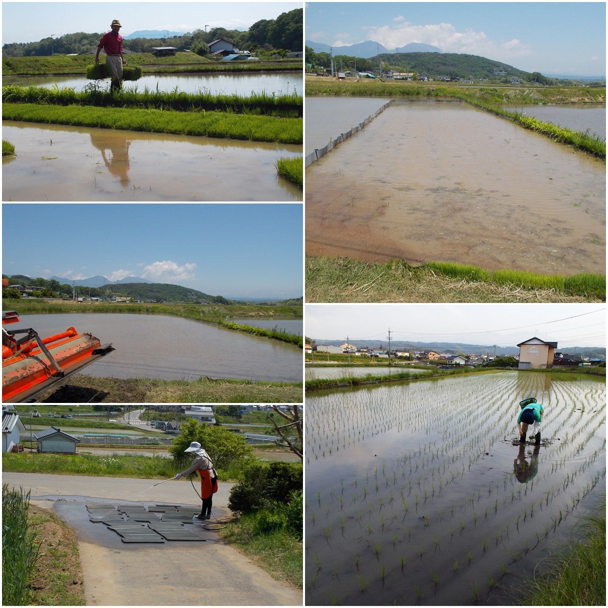 田植日和(4) : 百姓の田舎暮らし