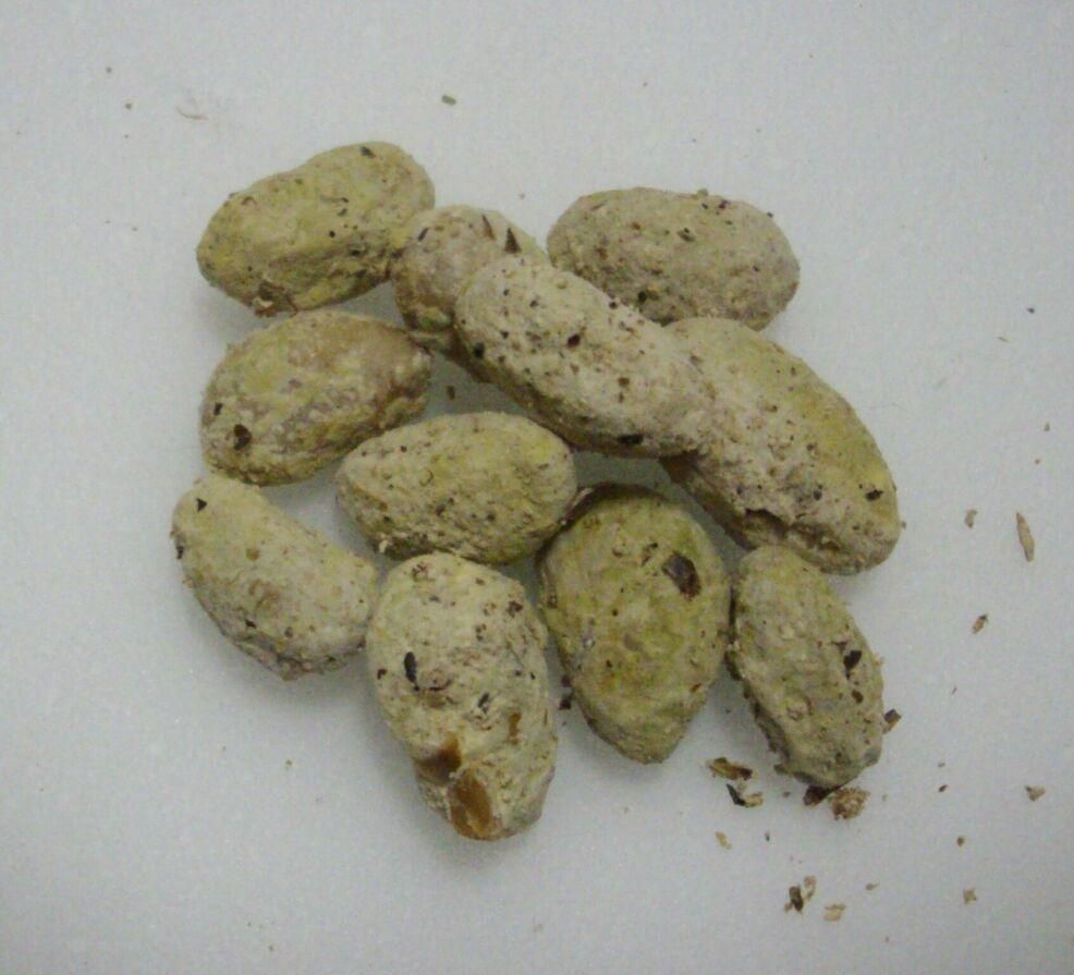 麹発酵中(続) : 百姓の田舎暮らし
