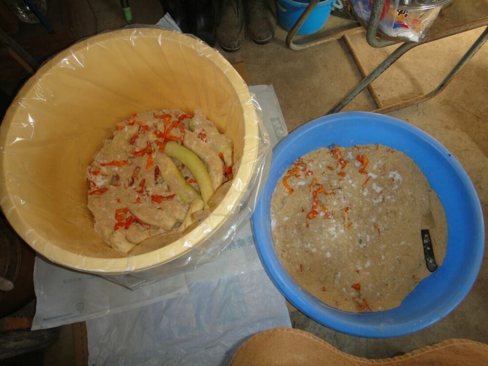 タクアンの漬け込み : 百姓の田舎暮らし