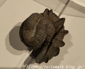 03242077-s.jpg