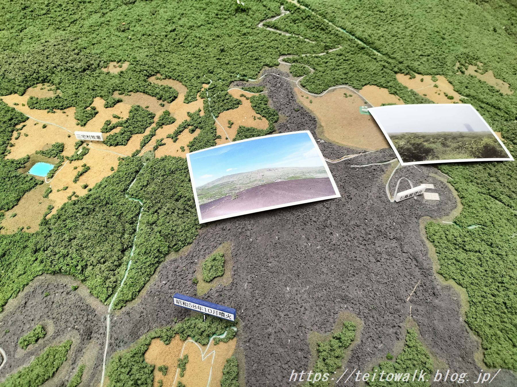 三宅島の噴火により壊滅した山の牧場「三宅村営牧場跡」 : 帝都を歩く