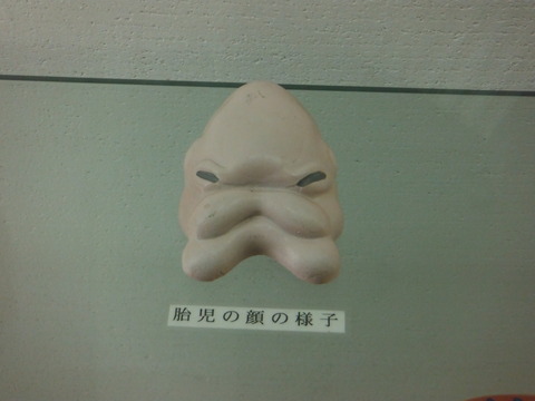 DSCF9094