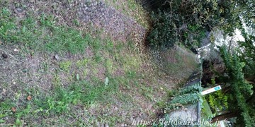 P_20201011_163122