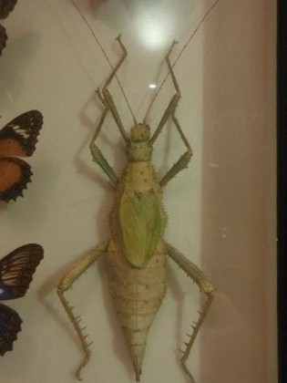 DSCF1120