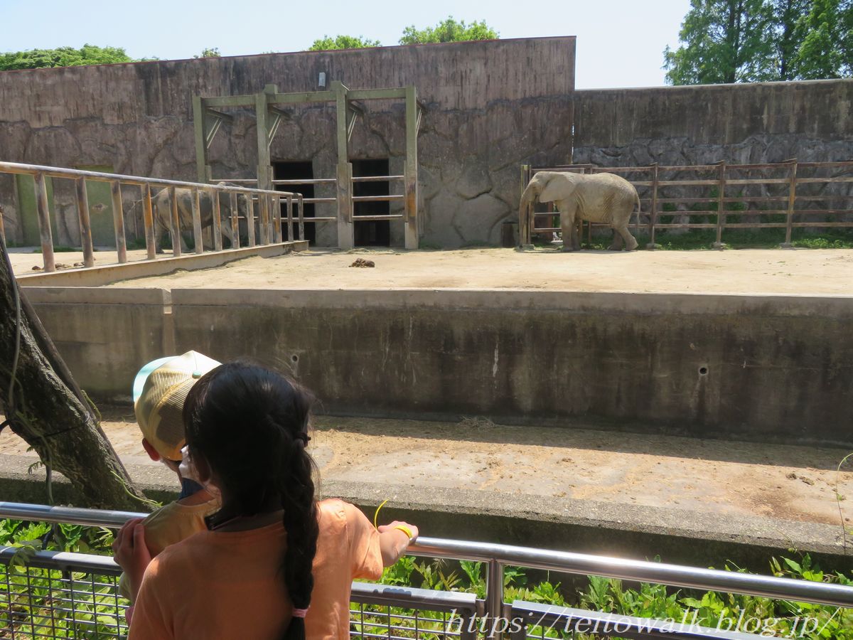 農家に富ももたらしていた太平洋戦争 東武動物公園 帝都を歩く 農家に富ももたらしていた太平洋戦争 東武動物公園 帝都を歩く