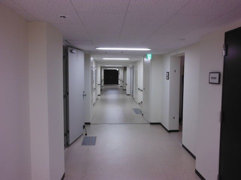 DSCF8256