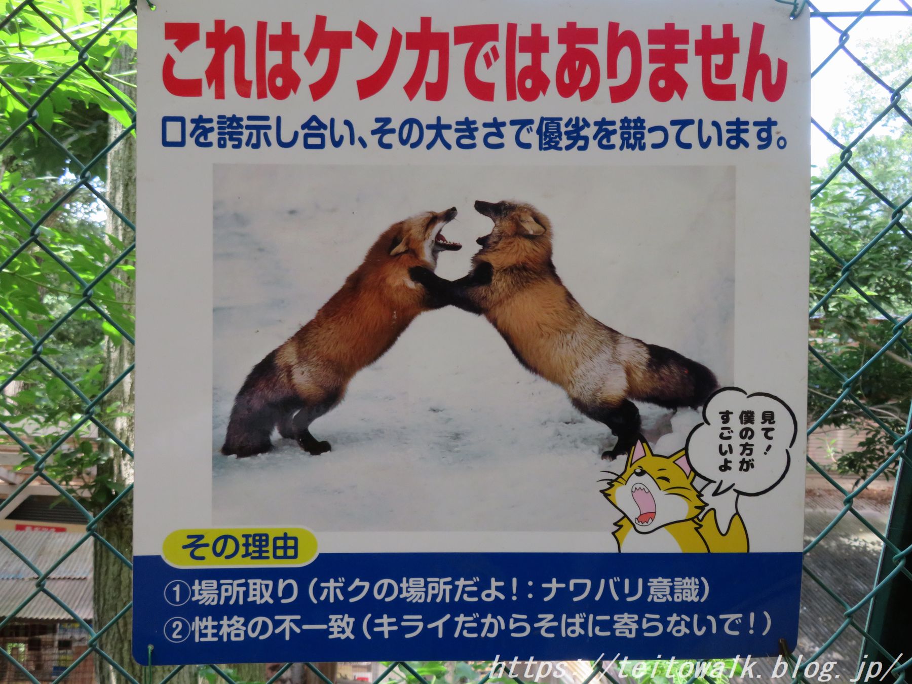仔ギツネ抱っこ体験もできる動物園「宮城蔵王キツネ村」 : 帝都を歩く