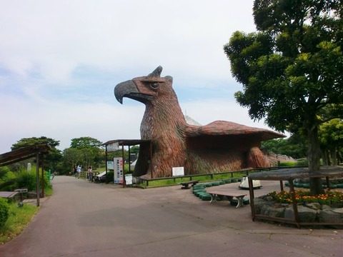 CIMG0826