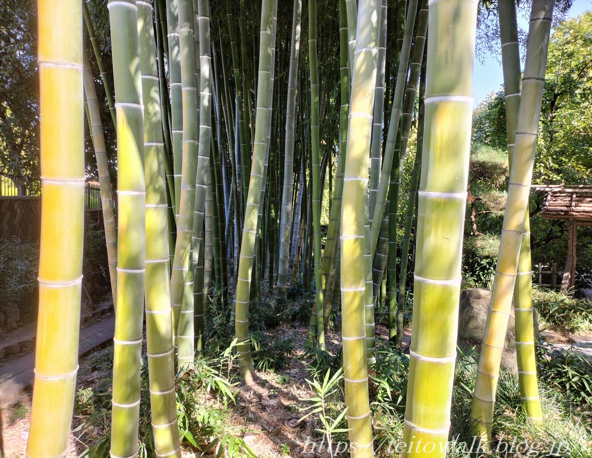 百門の砲に勝る竹槍と必勝の信念「板橋区立赤塚植物園」 : 帝都を歩く