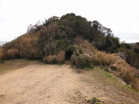 DSCF6262