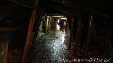 IMG_2553
