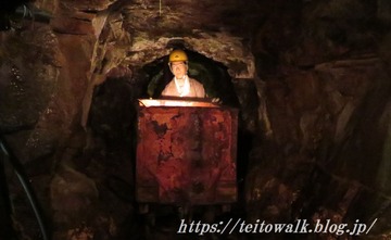 IMG_2552