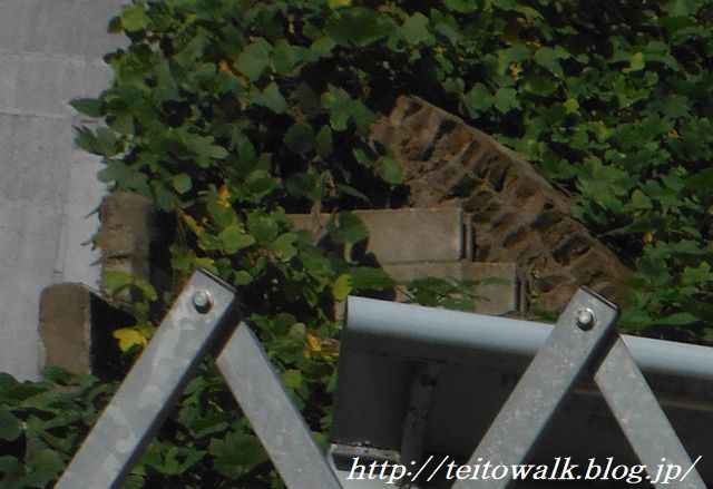 工事現場から謎のレンガアーチが出現 陸軍工科学校跡地 帝都を歩く