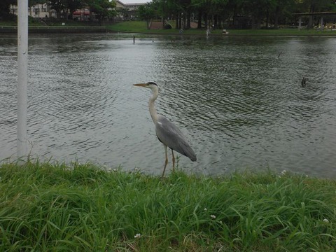 DSCF0928