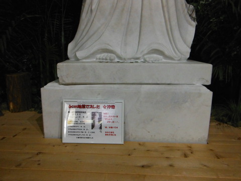 DSCF9102