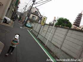 BlogPaint