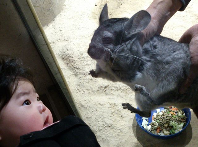 園 足立 区 生物 【足立区生物園】生物園からのお知らせ（令和3年6月）