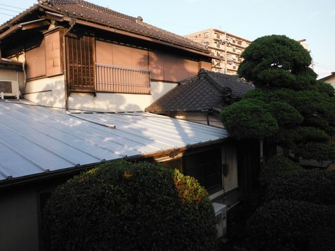 DSCF0342