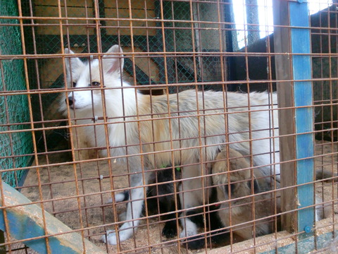 CIMG0556