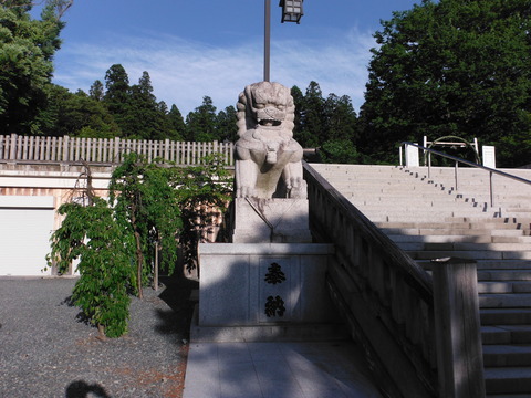 DSCF9850