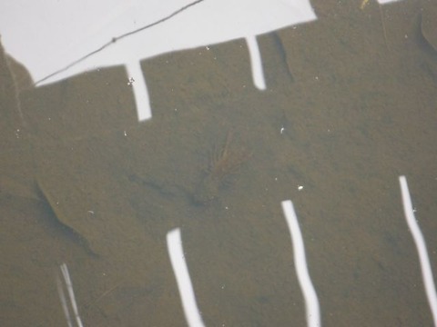 DSCF0940