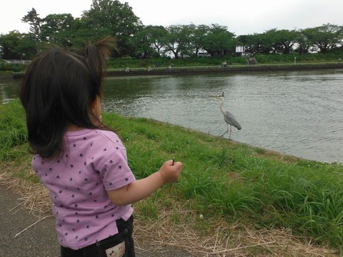 DSCF0929
