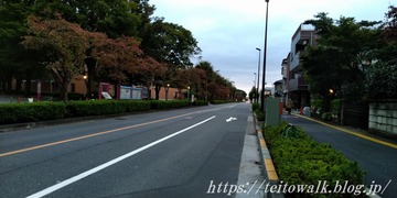 P_20201011_164444
