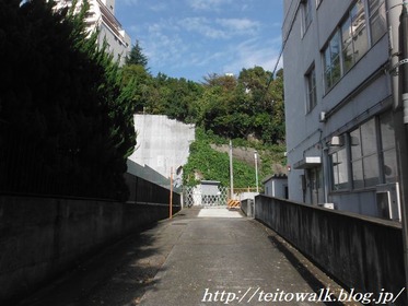 DSCF3591