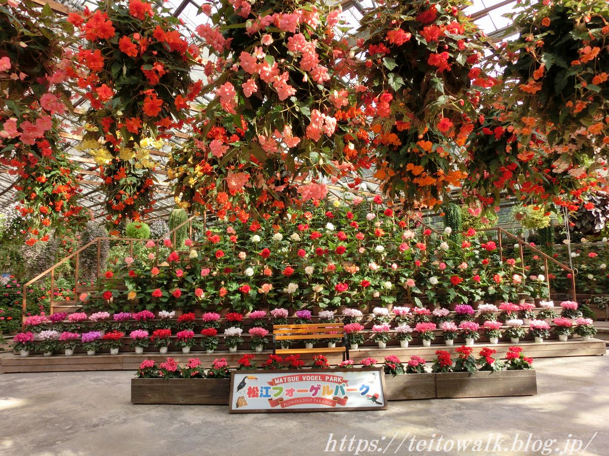 宍道湖湖畔にある花と鳥の楽園「松江フォーゲルパーク」 : 帝都を歩く