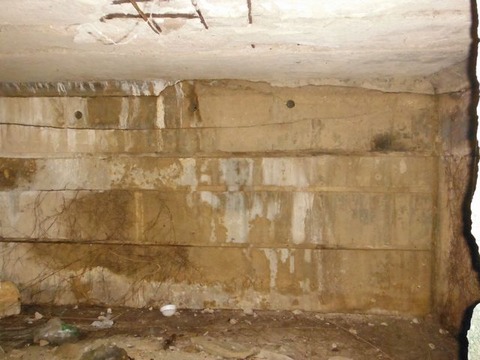 DSCF5651